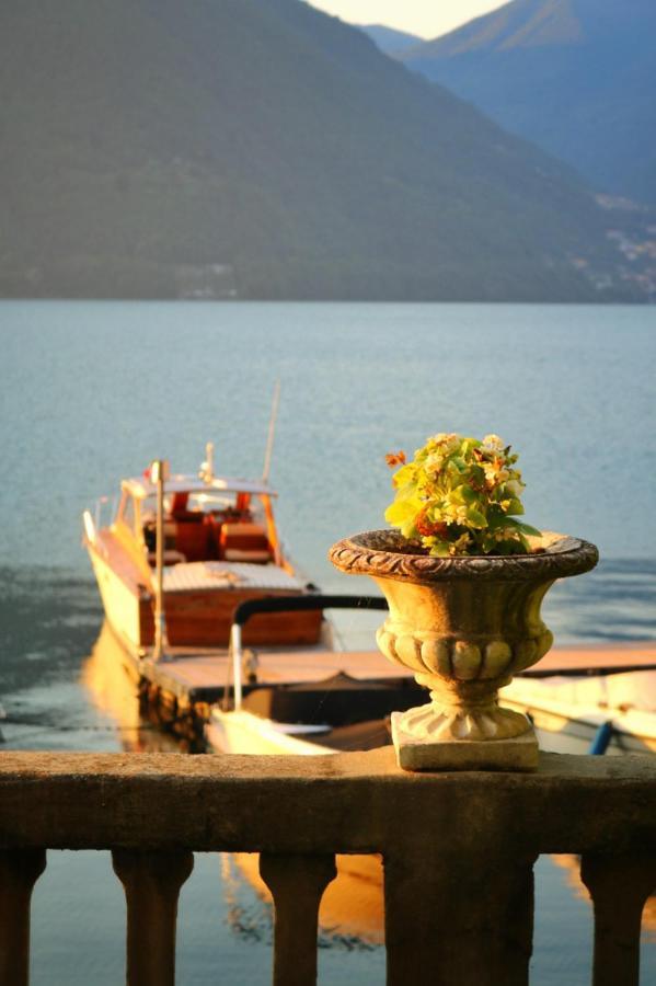 Ortensie al Lago - by MyHomeInComo Argegno Exterior foto